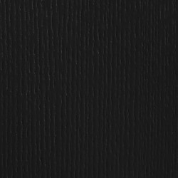 RAL 9004